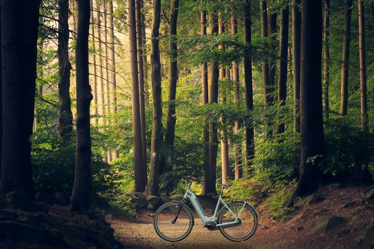 Comfort step-through ebike with suspension – Aurora Comfort E senior friendly